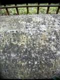 image of grave number 144716